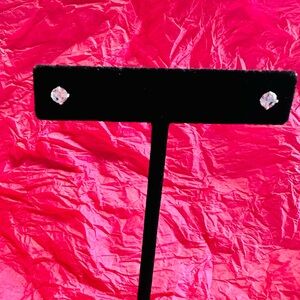 Elegant Silver Stud Earrings